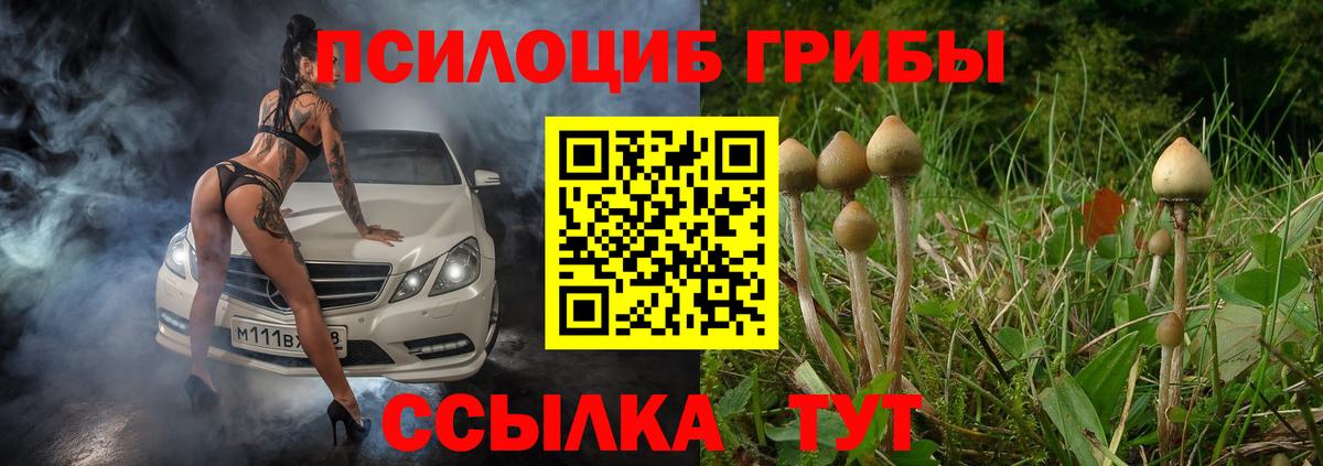 Елабуга  Псилоцибиновые грибы Cubensis  Галлюциногенные грибы ЛСД  Вход с VPN 