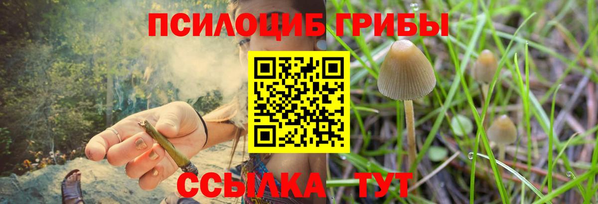 Галлюциногенные грибы мухоморы Елабуга